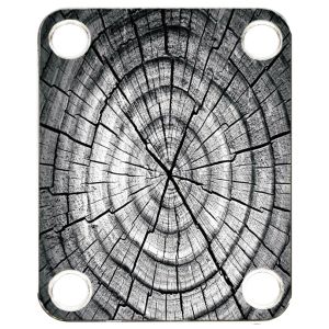 Dried Tree Ring