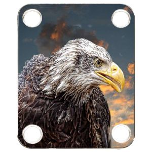 Eagle 1