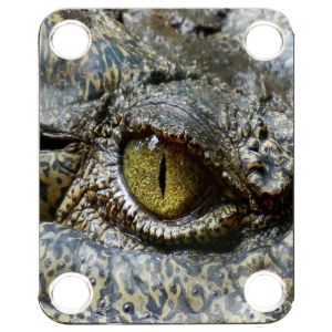 Eye Crocodile 1