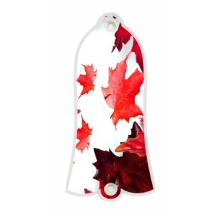 Canadian Patriot 1