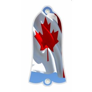Canadian Patriot 4