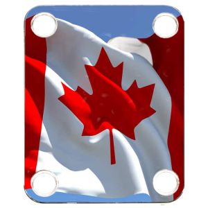 Canadian Patriot 4