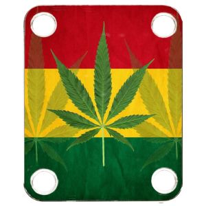 Rasta 1