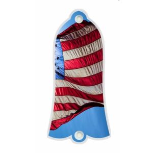 US Patriot 3