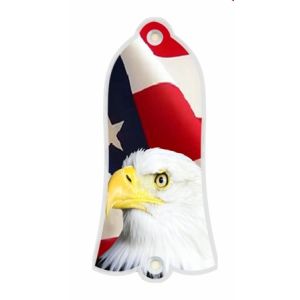 US Patriot Eagle 1