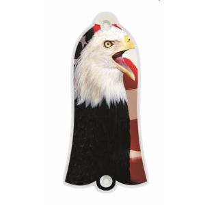 US Patriot Eagle 2
