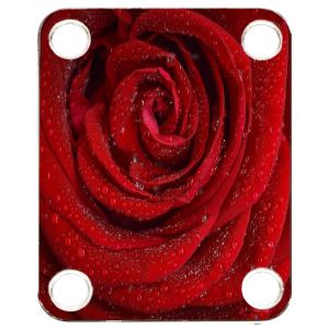 Rose Wet