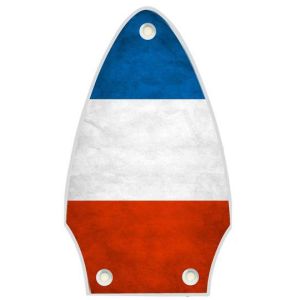 France 1