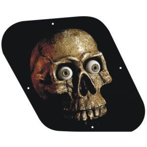 Google Eyed Skull