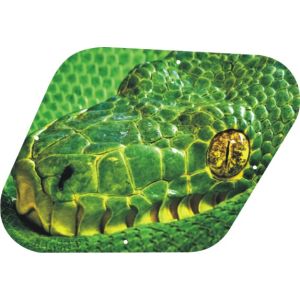 Green Snake