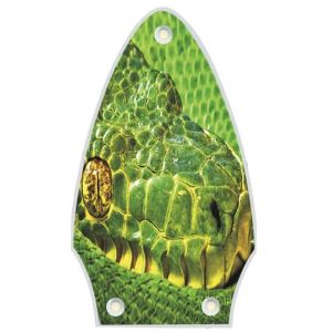 Green Snake