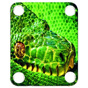 Green Snake