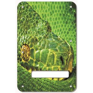 Green Snake