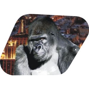 Kong