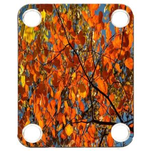 Leaves 2