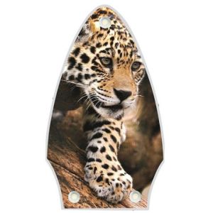Leopard Decending Branch