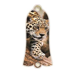 Leopard Decending Branch