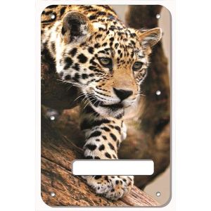 Leopard Decending Branch