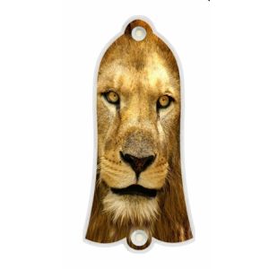 Lion 2
