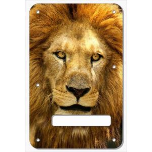 Lion 2