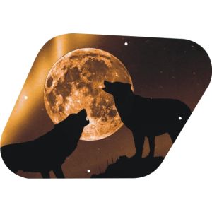 Mojo Moon