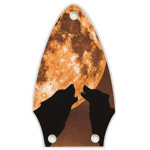 Mojo Moon
