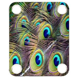 Peacock 2