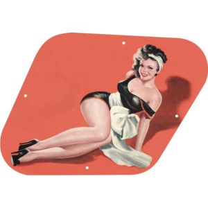 Pin Up Girl 1