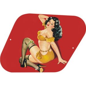 Pin Up Girl 3