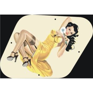 Pin Up Girl 6 AW
