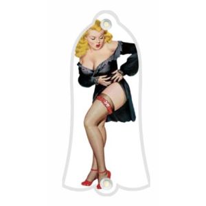 Pin Up Girl Black Negligee WH