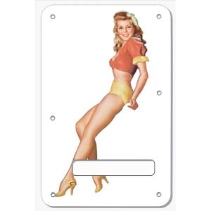 Pin Up Girl Short Shorts WH