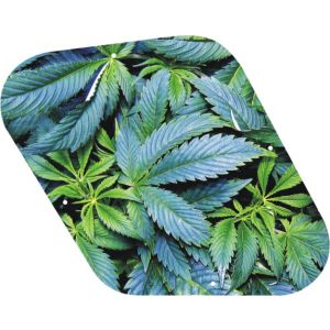 Pot Growth