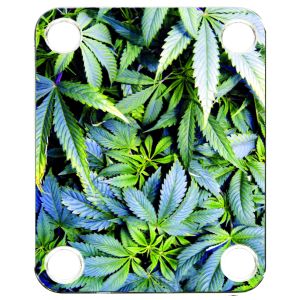 Pot Growth