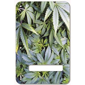 Pot Growth