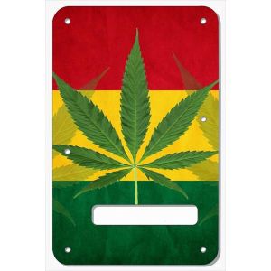 Rasta 1