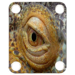 Reptile Eye 2