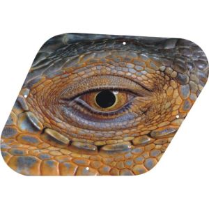 Reptile Eye