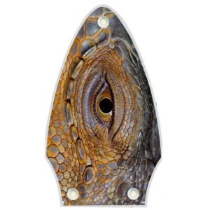 Reptile Eye