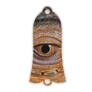 Reptile Eye