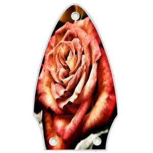 Rose 1