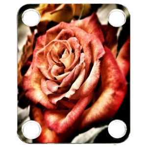 Rose 1
