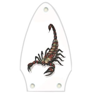 Scorpion