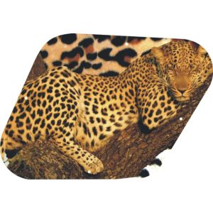 Sleeping Leopard