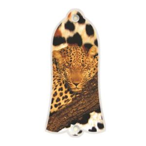 Sleeping Leopard
