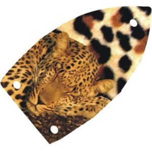 Sleeping Leopard