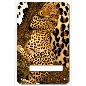 Sleeping Leopard