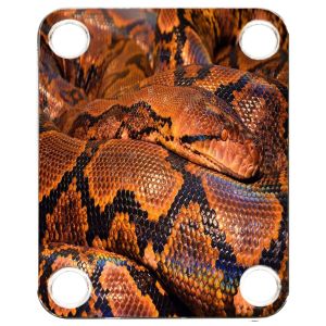 Snake Python 1