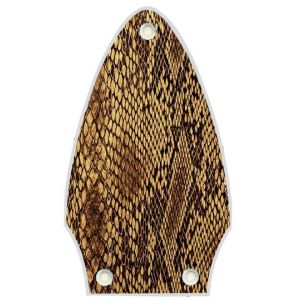 Snake Skin 1
