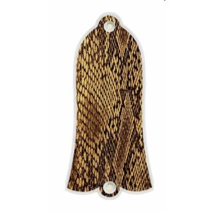 Snake Skin 1